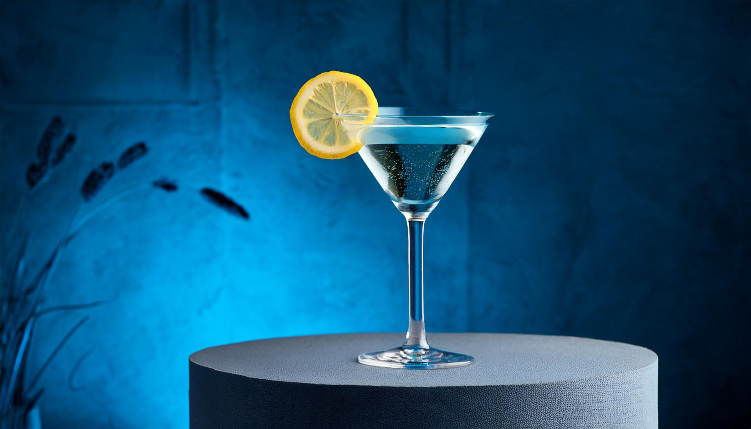 A Vodka martini with a slice of lemon.